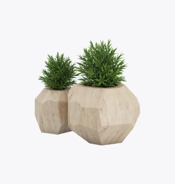 product-image-7_optimized Odio Pellentesque